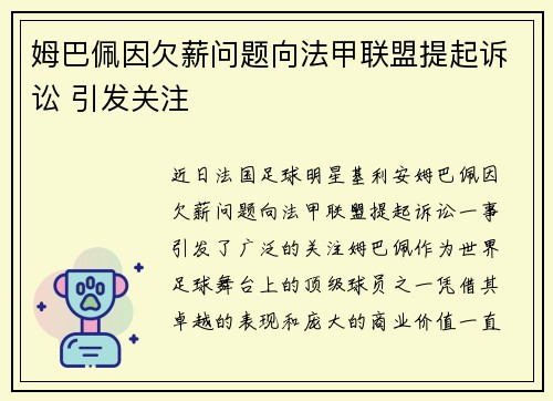姆巴佩因欠薪问题向法甲联盟提起诉讼 引发关注 姆巴佩因欠薪问题向法甲联盟提起诉讼 引发关注